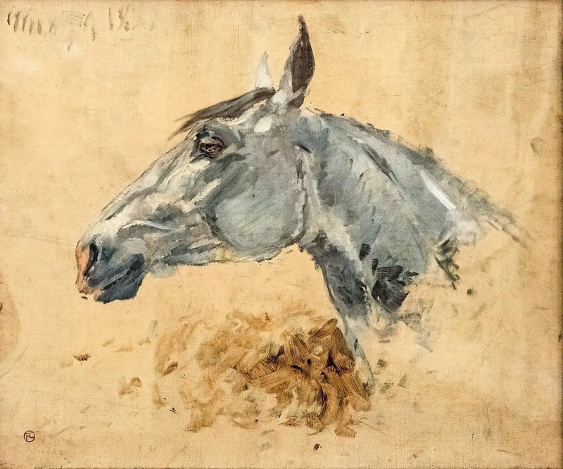 Vit häst Gazelle - Henri de Toulouse-Lautrec