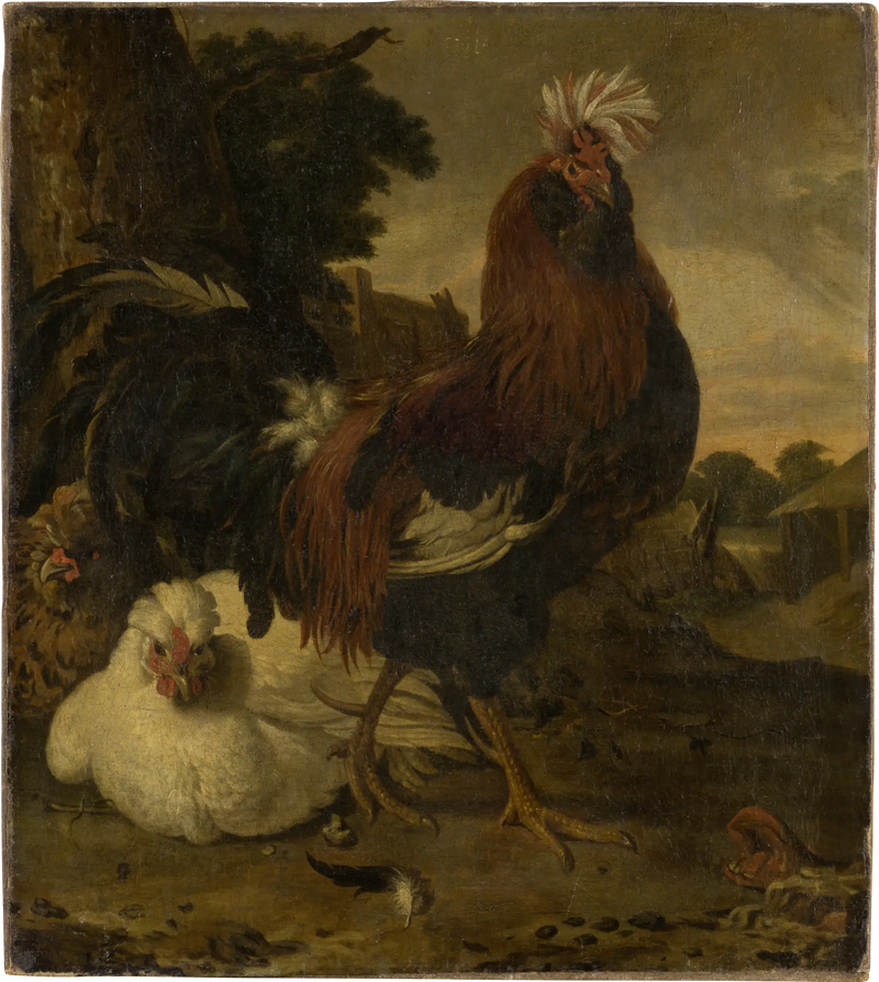 Kucku i en gård - Melchior de Hondecoeter