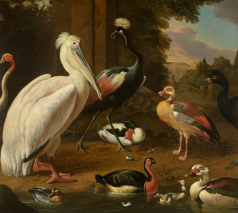 Våtdjur - Melchior de Hondecoeter