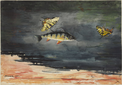 Poissons et papillons - Winslow Homer