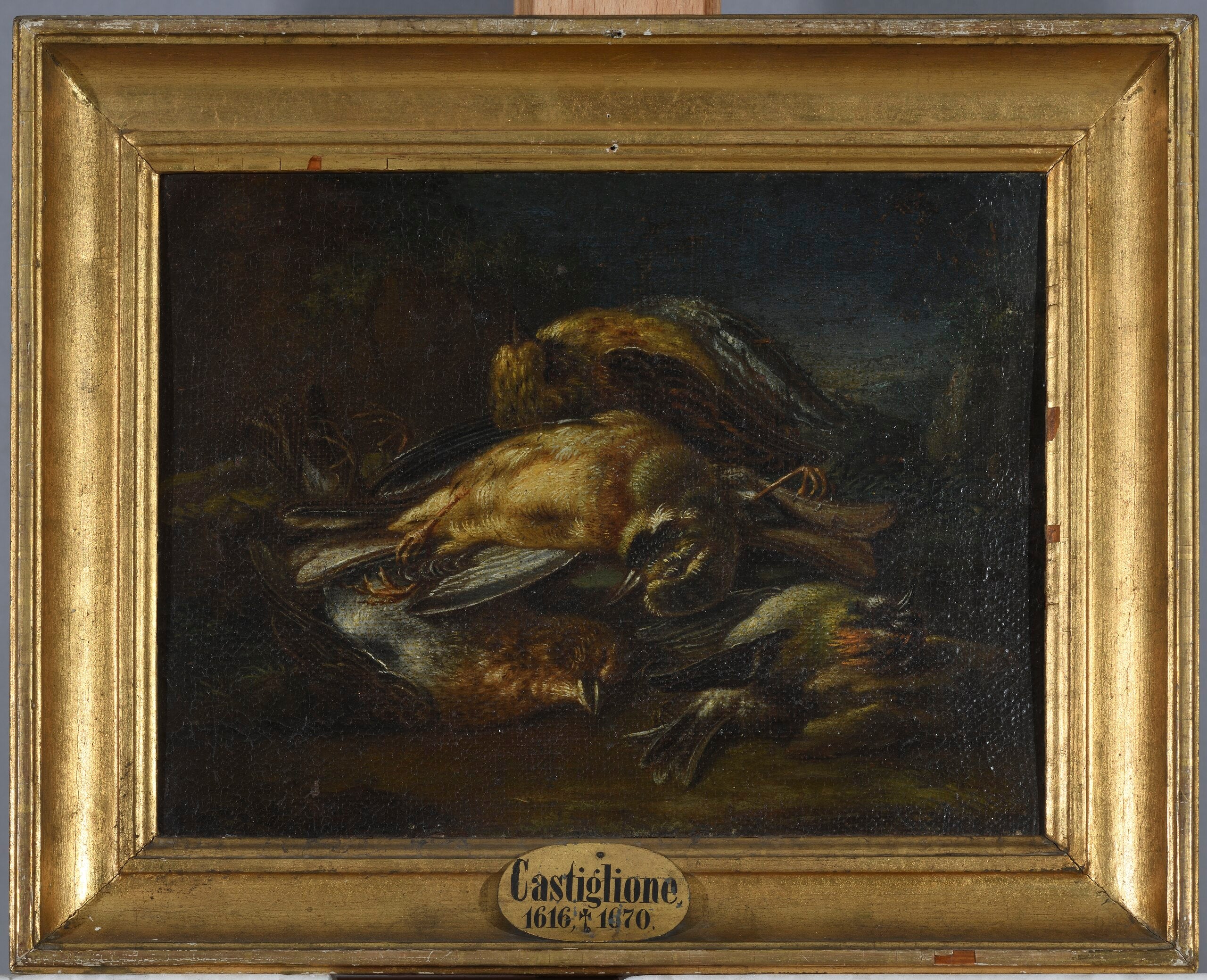 Q131748967 - Giovanni Benedetto Castiglione