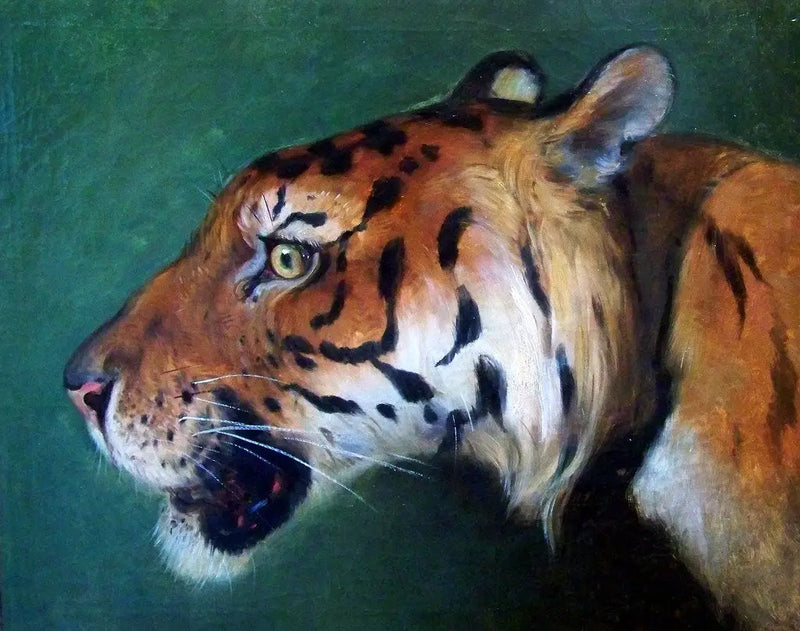 Tigerhuvud - Eugène Delacroix