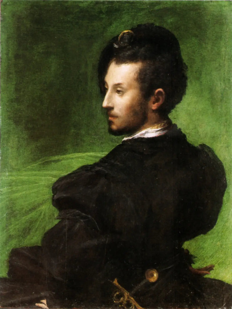 Q3937794 - Parmigianino