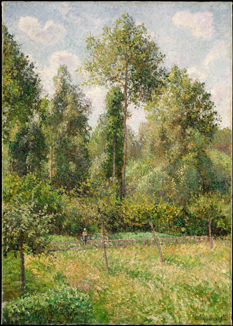 Poppelträd, Éragny - Camille Pissarro