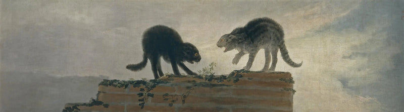 Kattstrid - Francisco de Goya