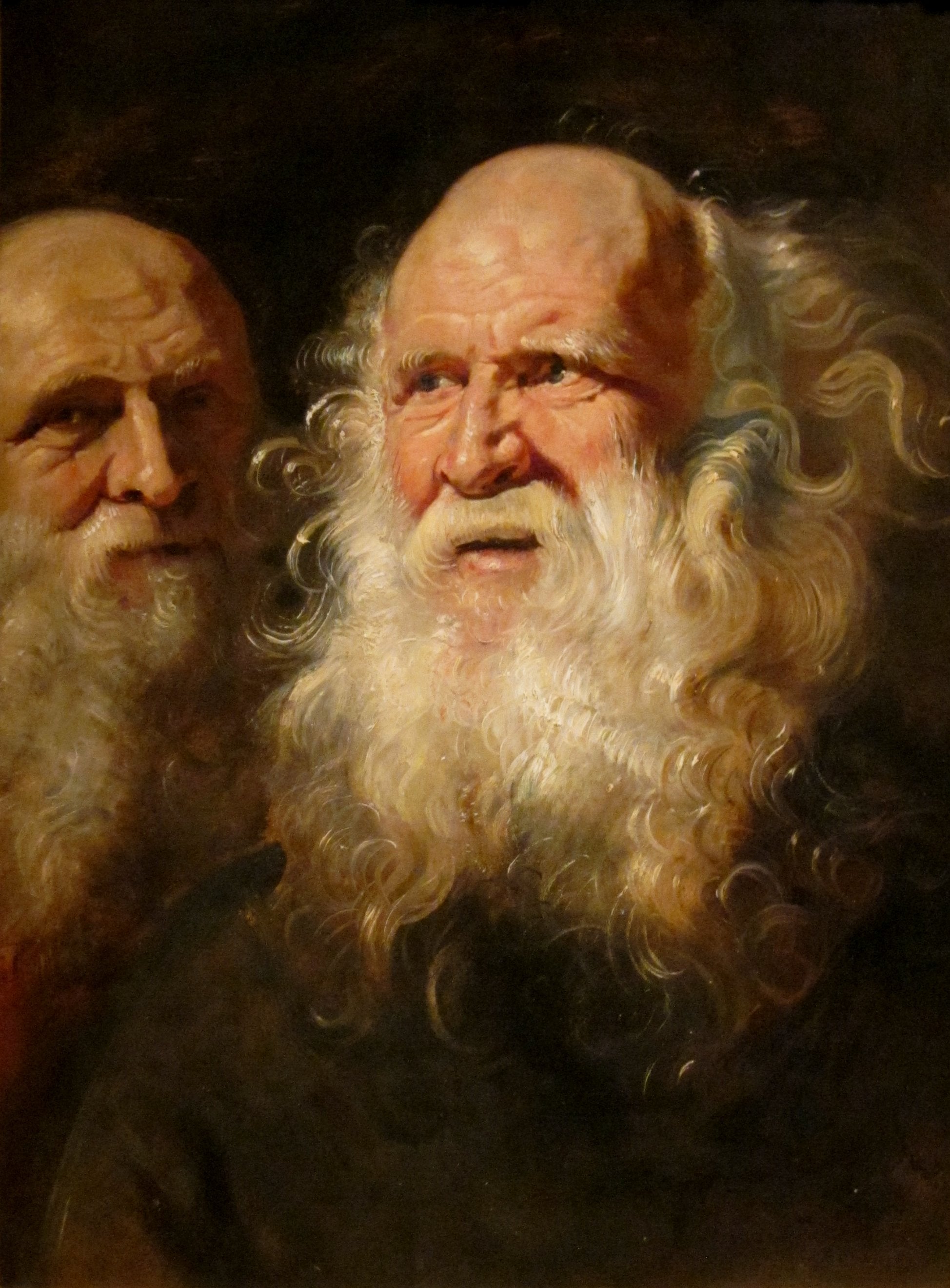 Studie av två skäggiga gubbar - Peter Paul Rubens