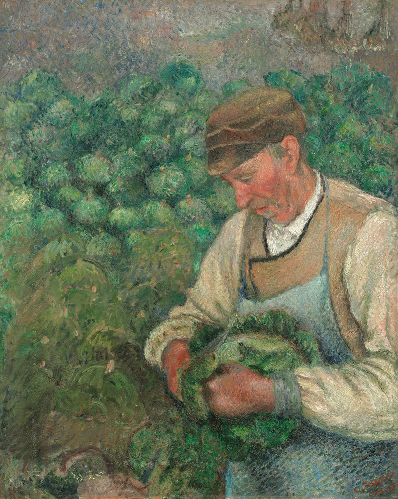 Trädgårdsmästaren - Gamle Bonde med Kål - Camille Pissarro