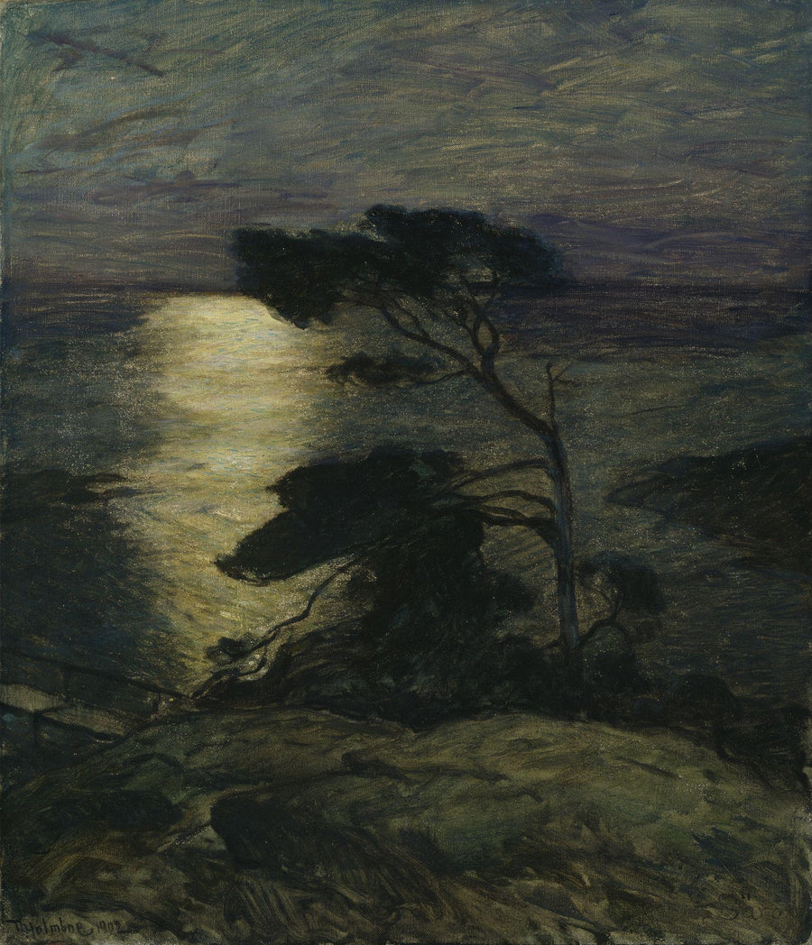 Pin sur la côte au clair de lune – Thorolf Holmboe