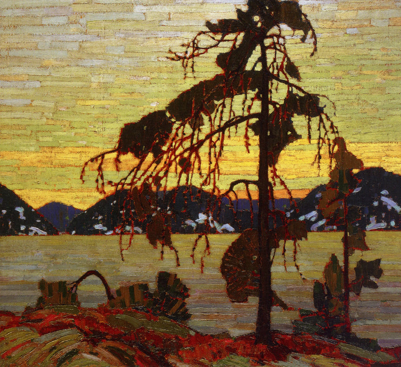 Den gråa nålen - Tom Thomson