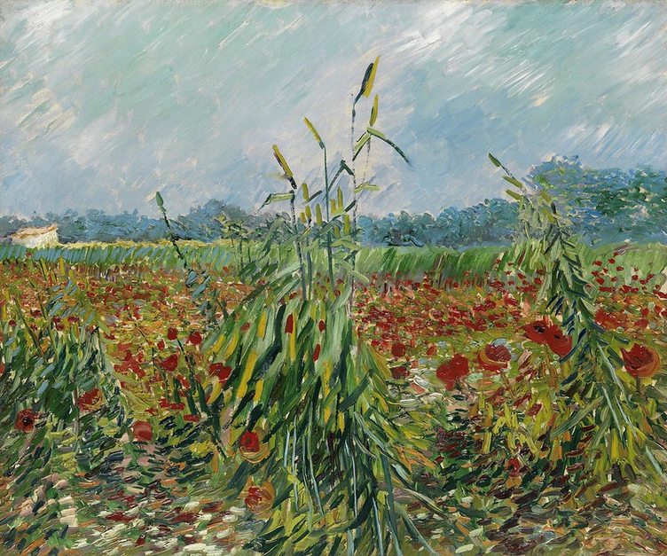🌾 Gröna veteax – Vincent van Gogh (1888)