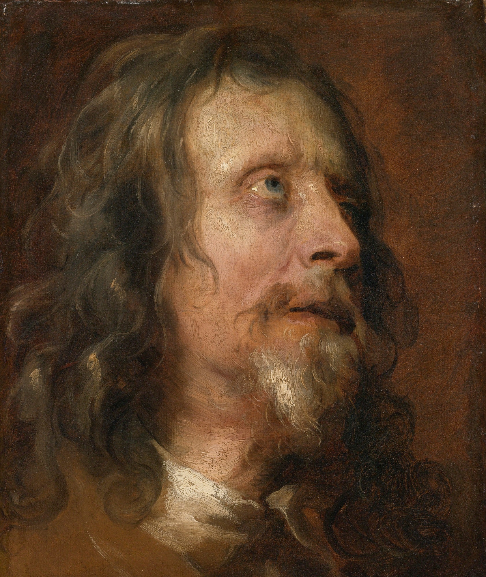 Étude de portrait d'un homme barbu - Antoine van Dyck