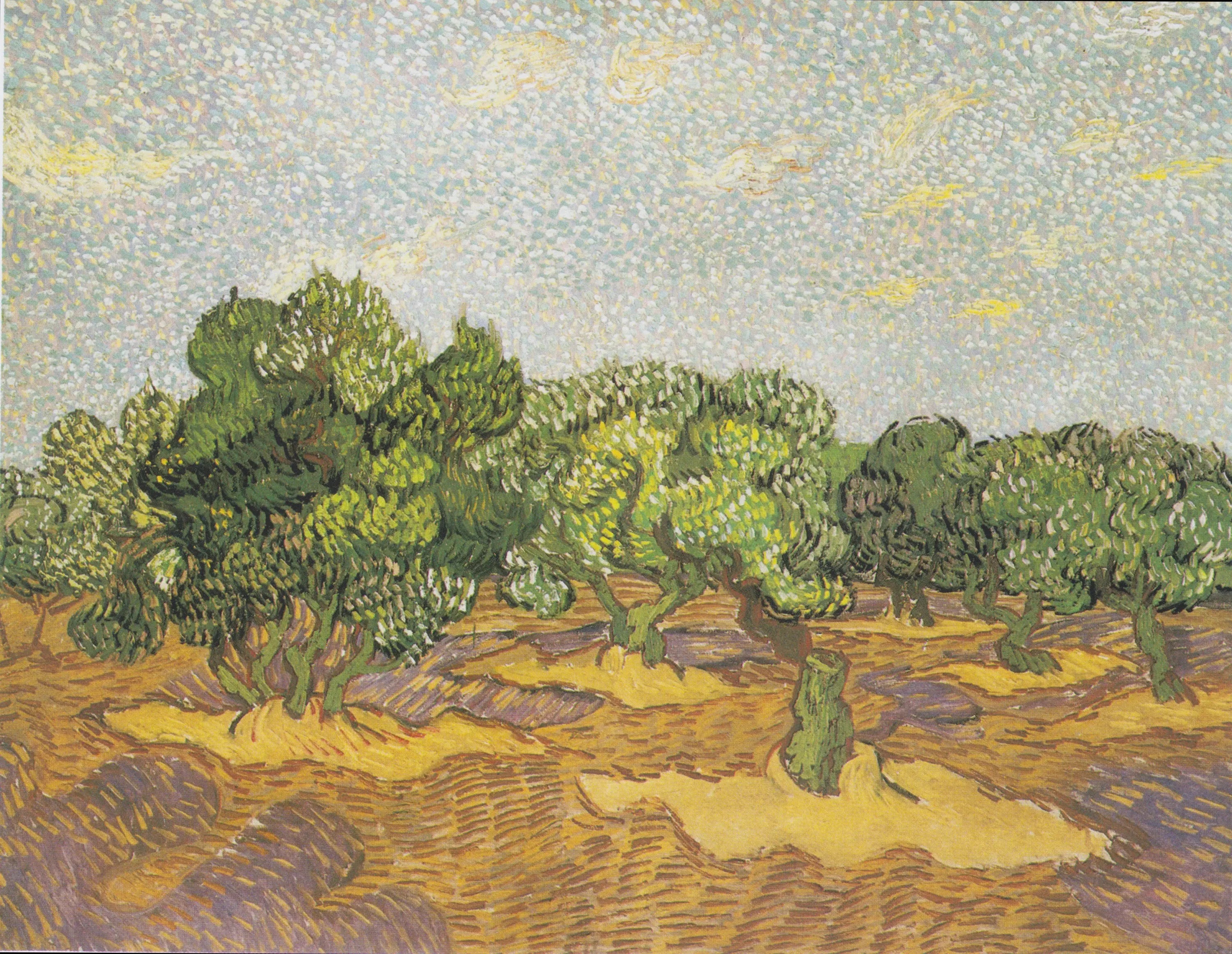Reproduction du tableau « Oliviers - Vincent van Gogh » par Alpha Reproduction en peinture à l’huile