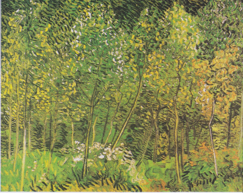 Bosquet - Vincent van Gogh