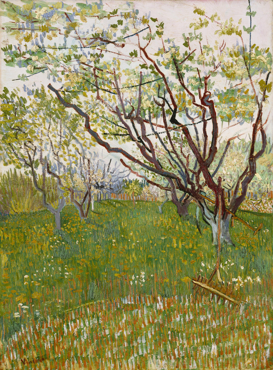 Le Verger en fleurs, peinture de Vincent van Gogh