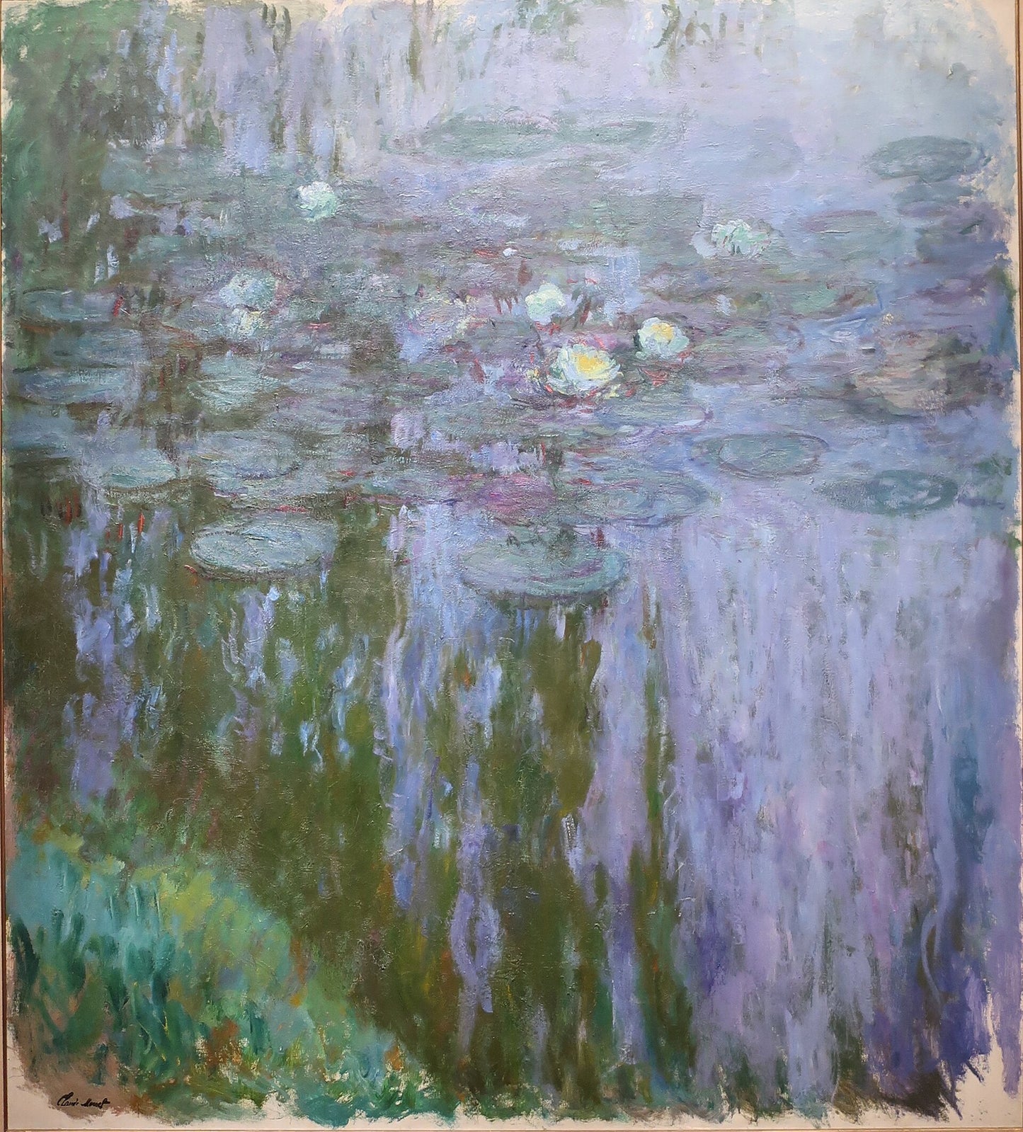 🌿 Näckrosor – Gröna och lila reflektioner