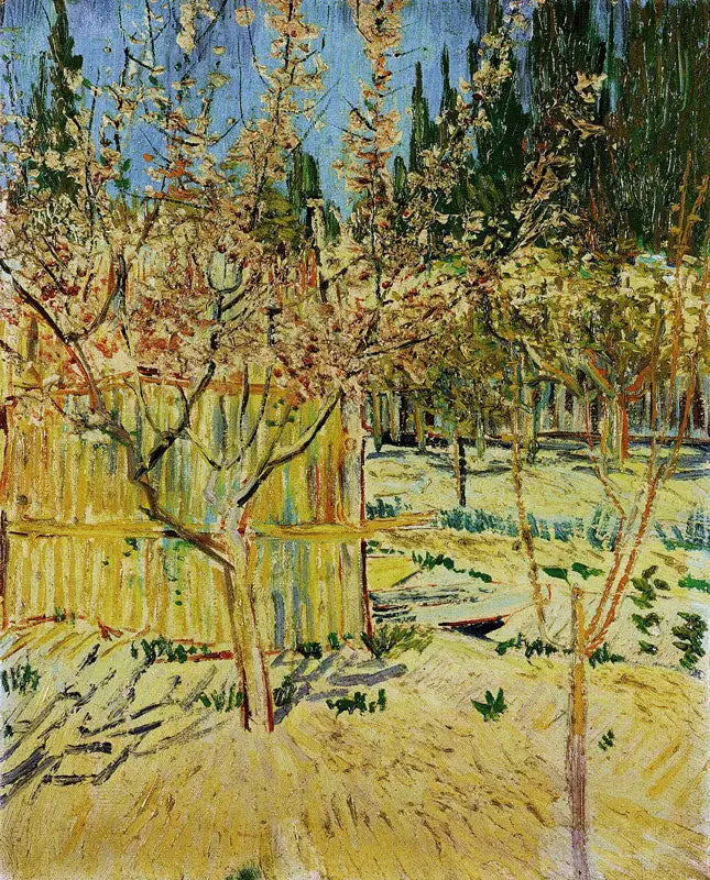 Blommande aprikosträd - Vincent van Gogh
