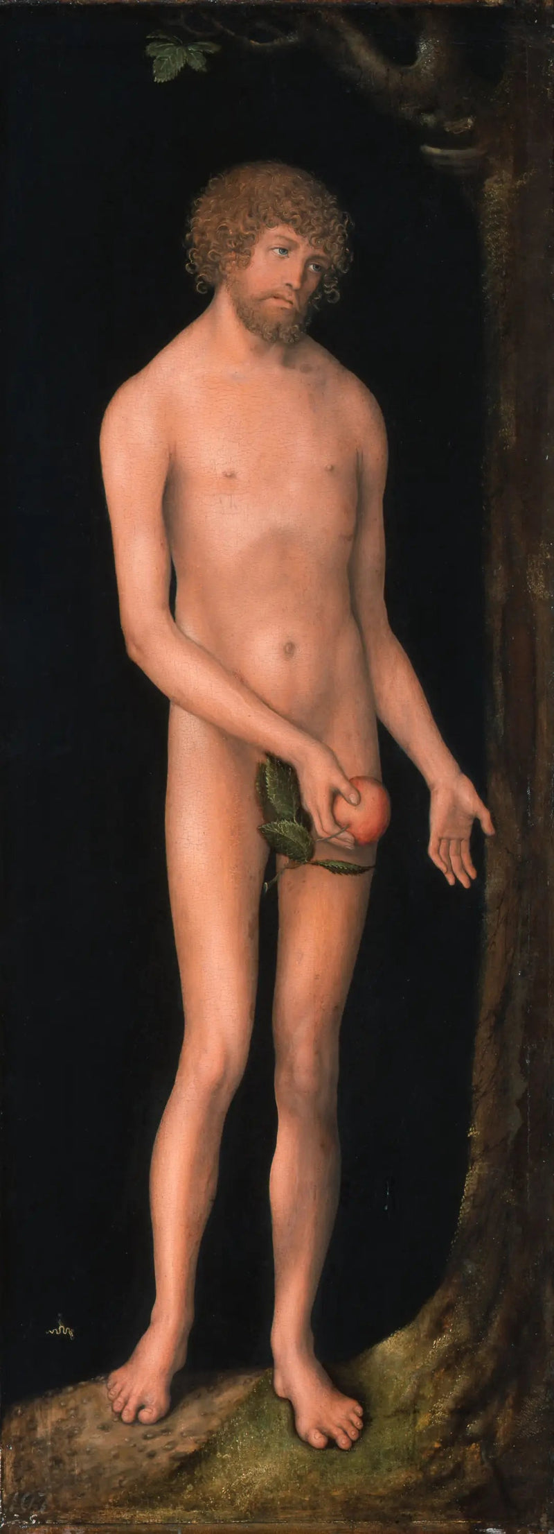 Adam - Lucas Cranach den äldre