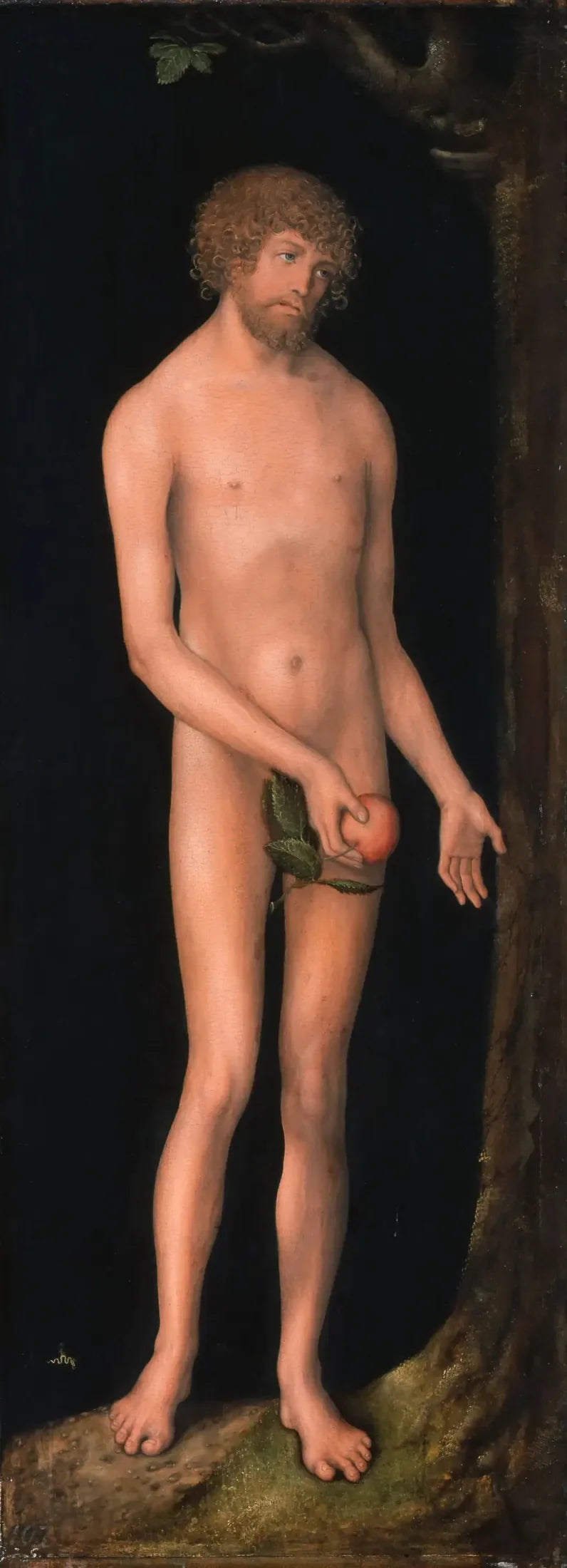 Adam - Lucas Cranach den äldre
