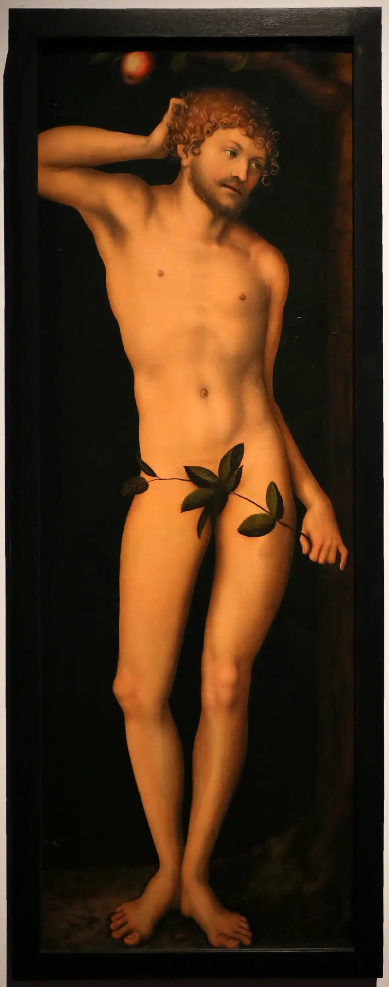 Adam - Lucas Cranach den äldre