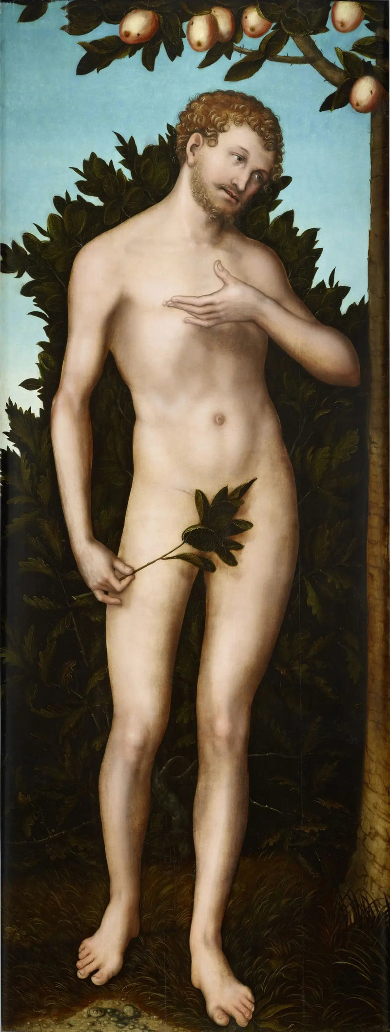 Adam - Lucas Cranach den äldre