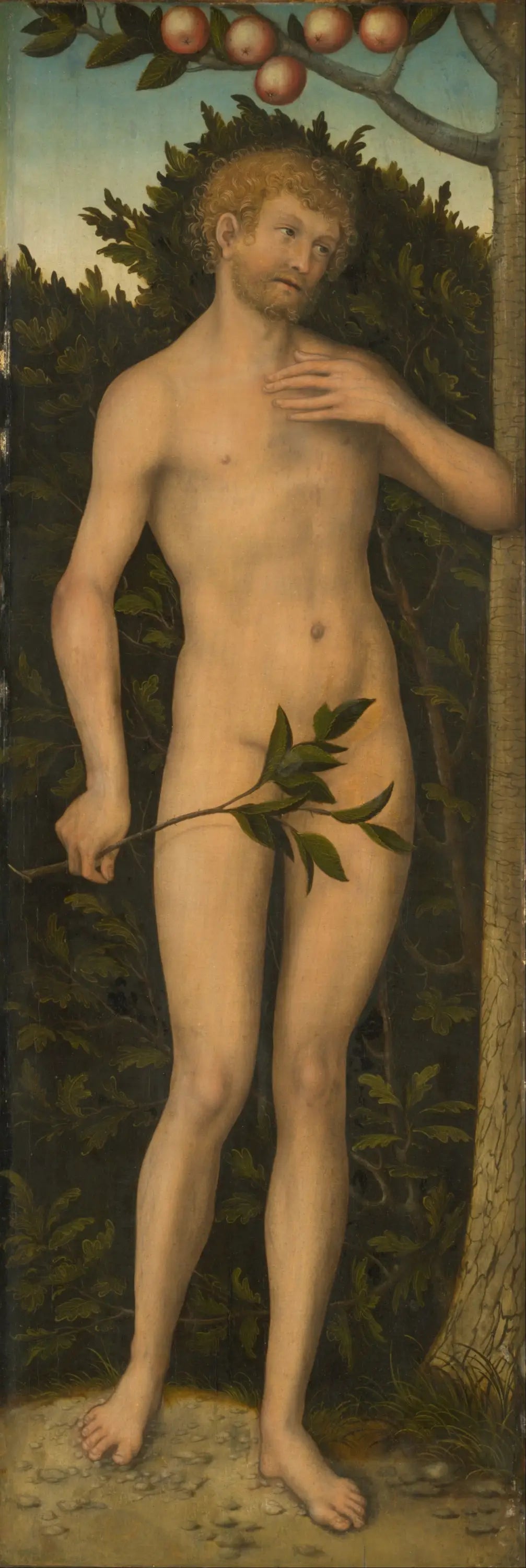Adam - Lucas Cranach the Elder image 1 copie peinte à la main à l’huile
