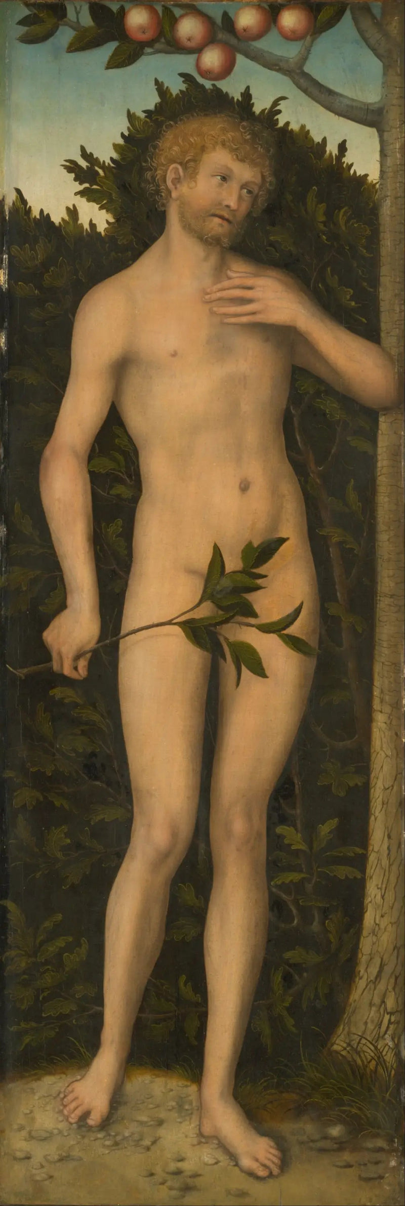Adam - Lucas Cranach den äldre