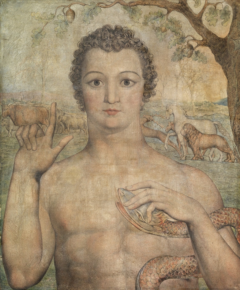 Adam kallar djuren - William Blake