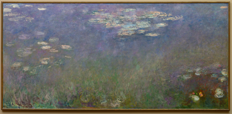 Näckrosor (Agapanthus), Cleveland W1975 - Claude Monet