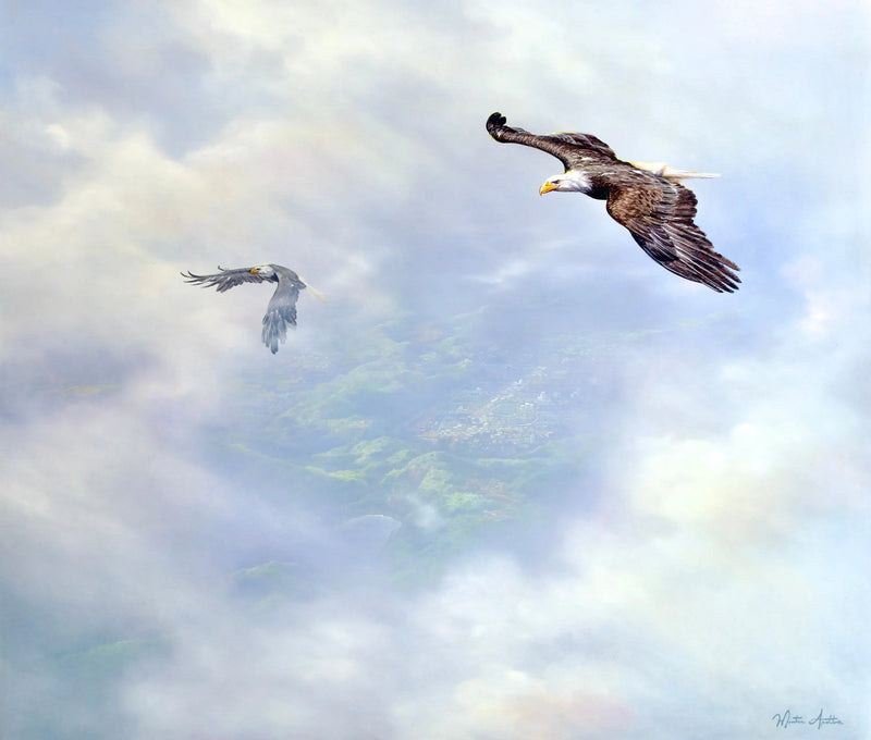 Örnar på flyg | 200 x 170 cm