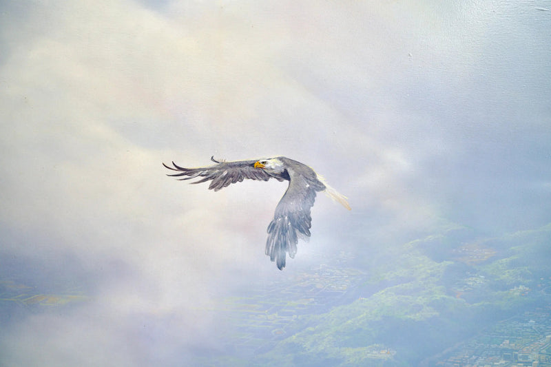 Örnar på flyg | 200 x 170 cm