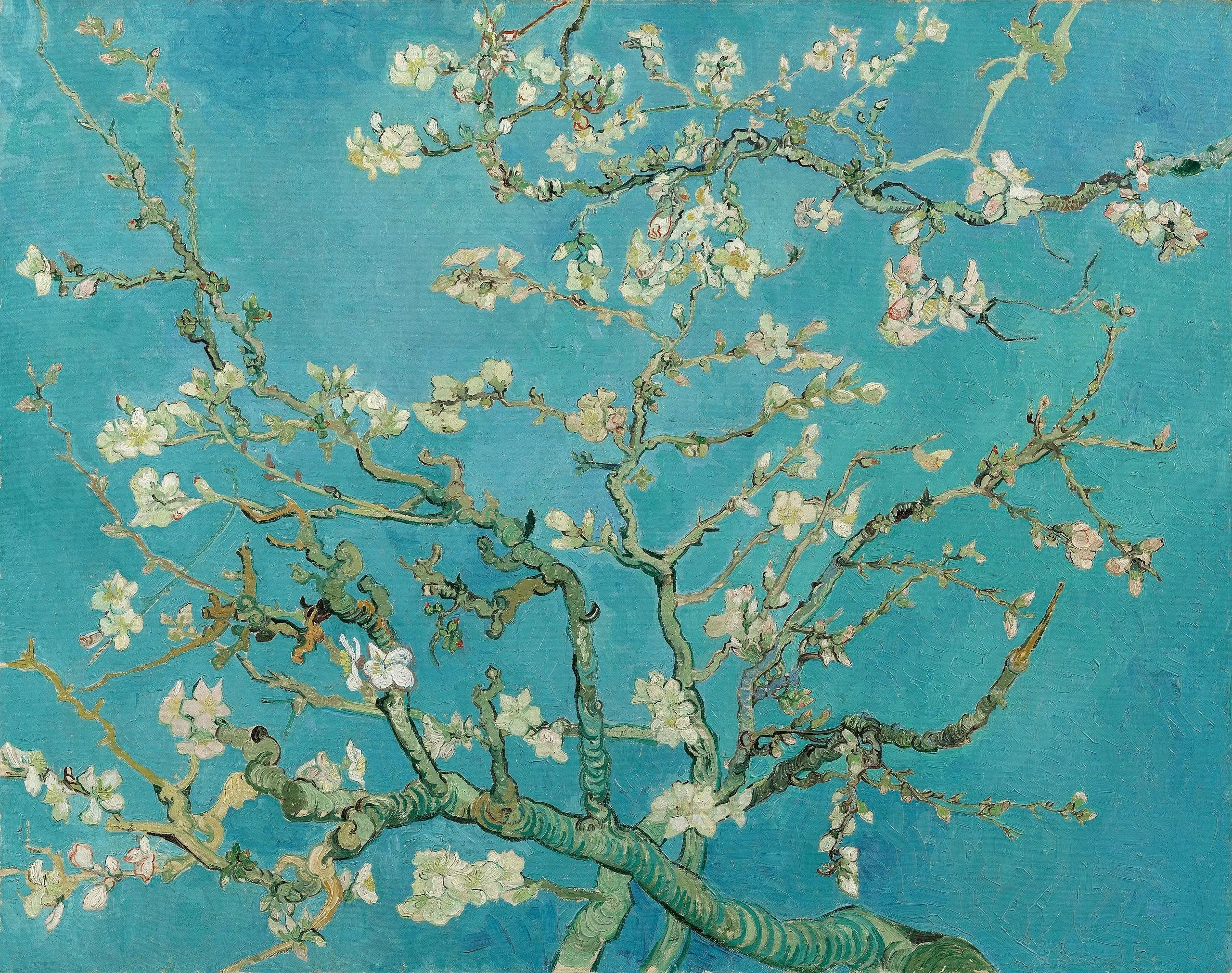 Amandier en fleurs - Vincent van Gogh image 1 reproduction d’œuvre d’art à l’huile