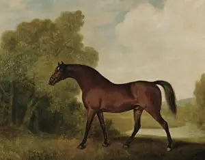 Ambrosio, en hingst av bai-typ, ägd av Thomas Haworth - George Stubbs