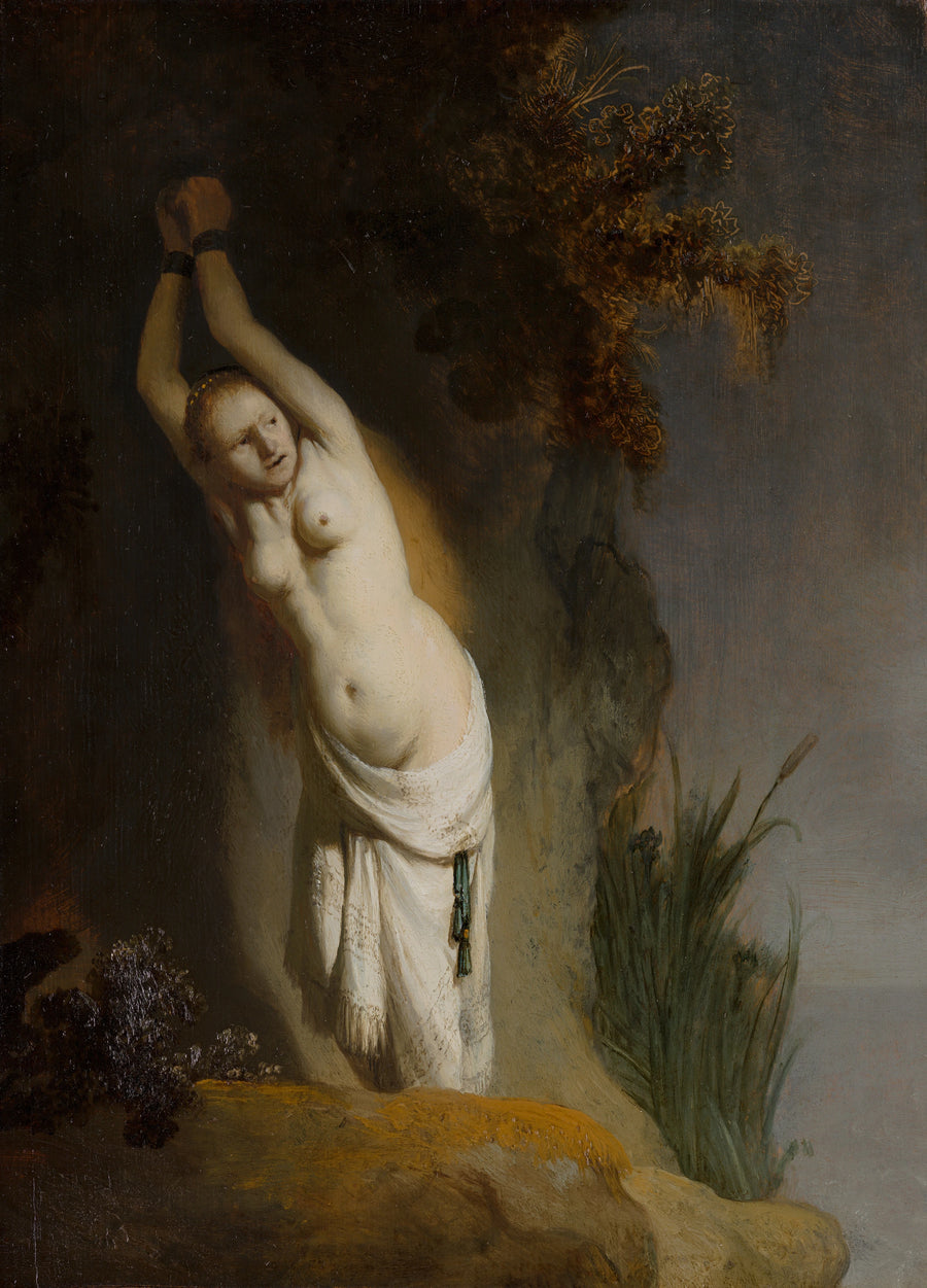 Andromeda kedjad - Rembrandt
