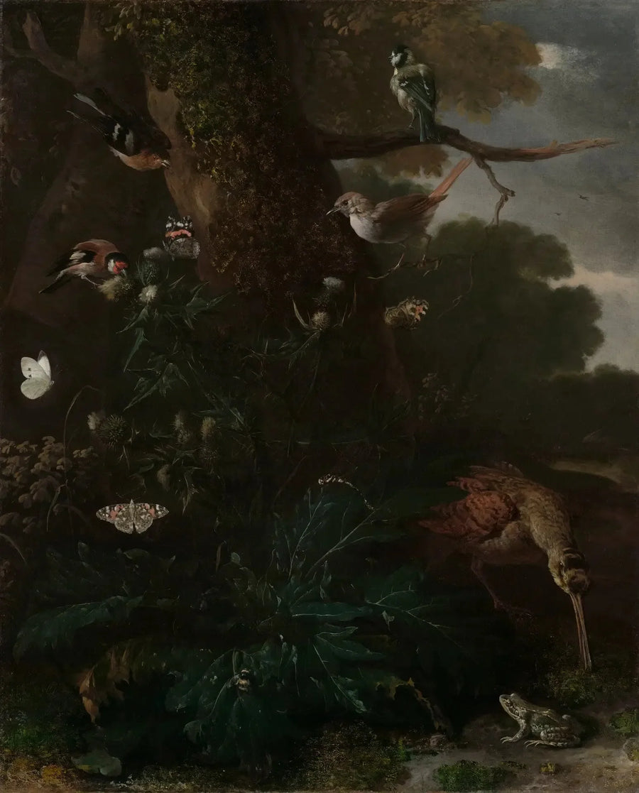 Djur och växter från skogen - Melchior de Hondecoeter