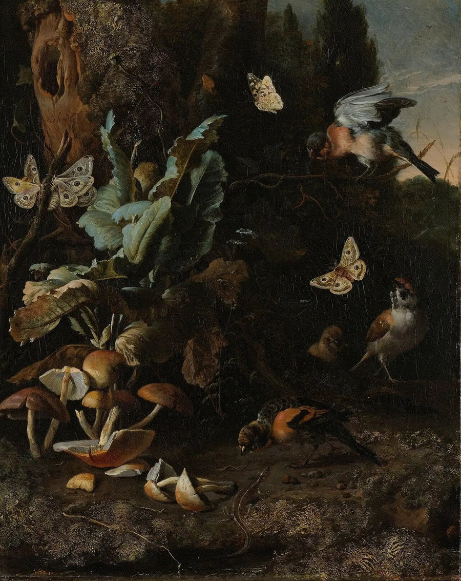Djur och växter - Melchior de Hondecoeter