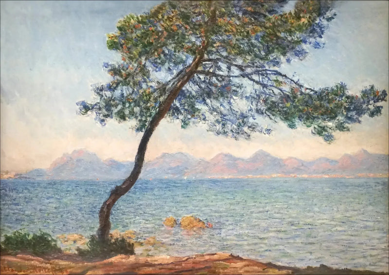 De antibakteriella - Claude Monet