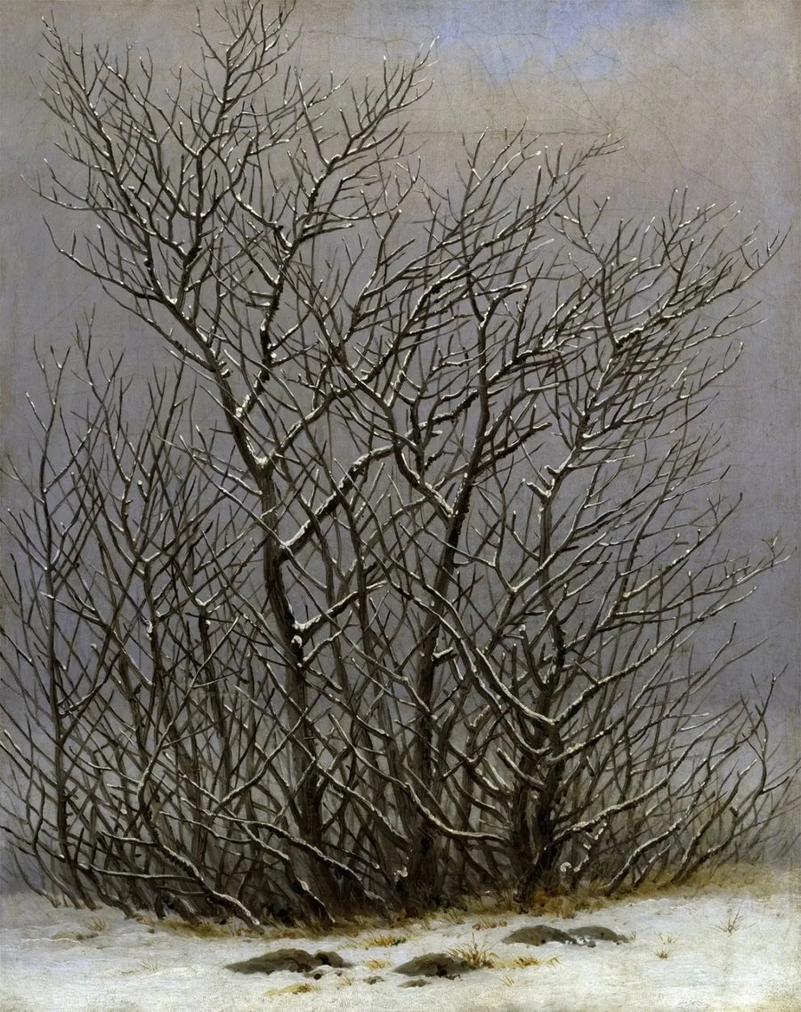 Träd och buskar under snön - Caspar David Friedrich