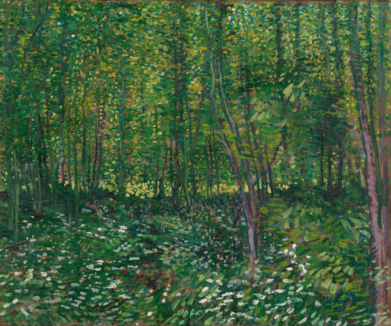 Träd - Vincent van Gogh