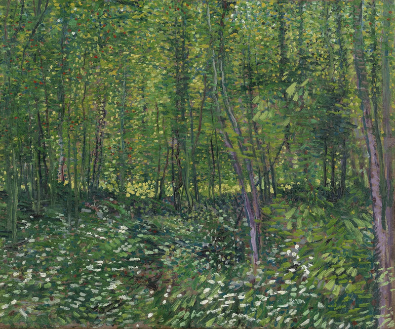 Träd och undervegetation - Vincent van Gogh