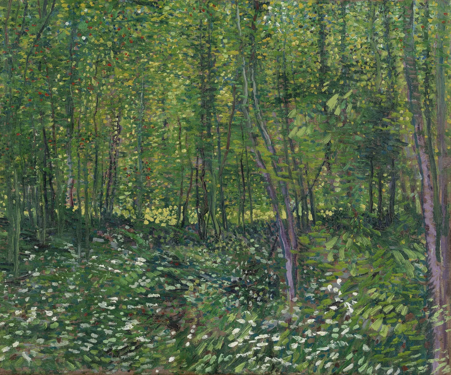 Träd och undervegetation - Vincent van Gogh