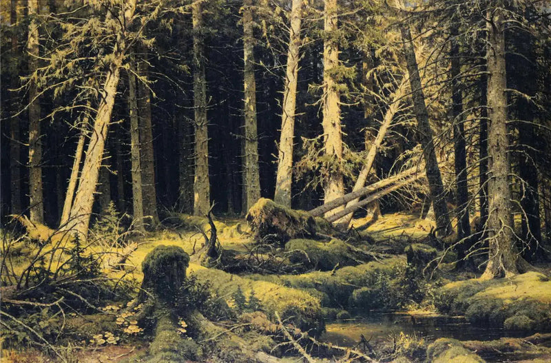 Fällda träd av vinden - Ivan Chichkine