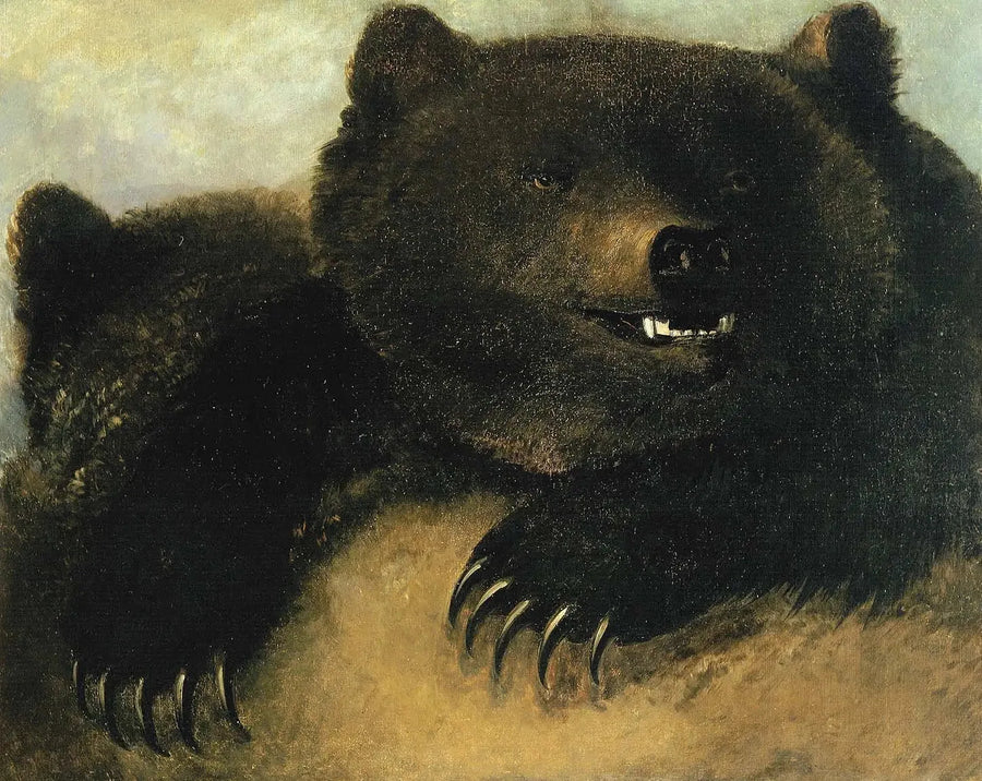 Vapen och ansiktsdrag hos grizzlybjörnen - George Catlin
