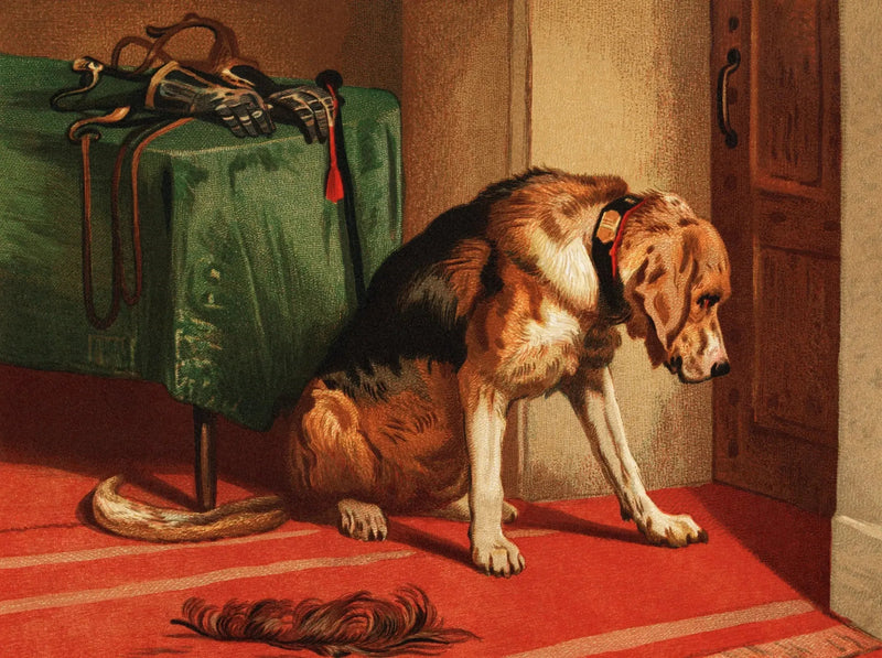 Väntan - Edwin Henry Landseer