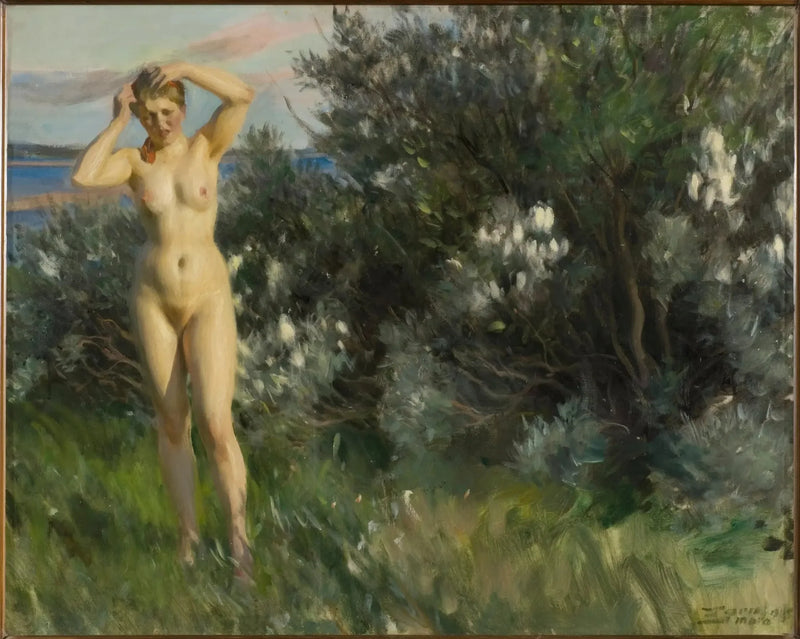 Vid Siljan-sjön - Anders Zorn