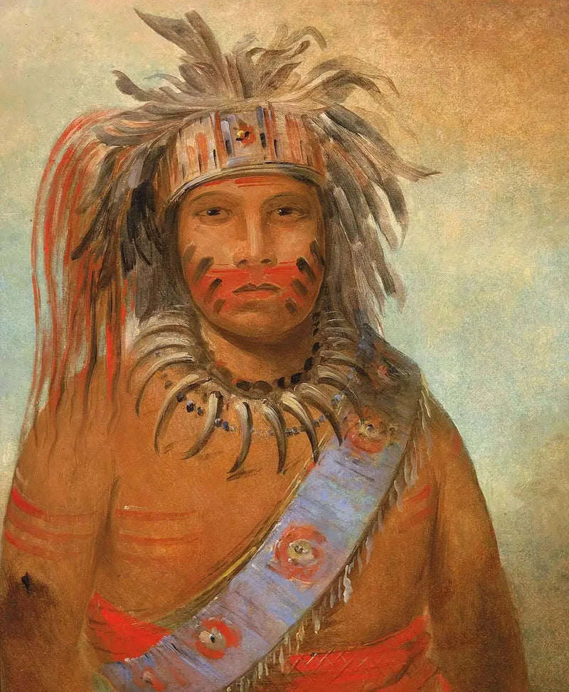 Au-nim-muck-kwa-um, stormfågeln - George Catlin