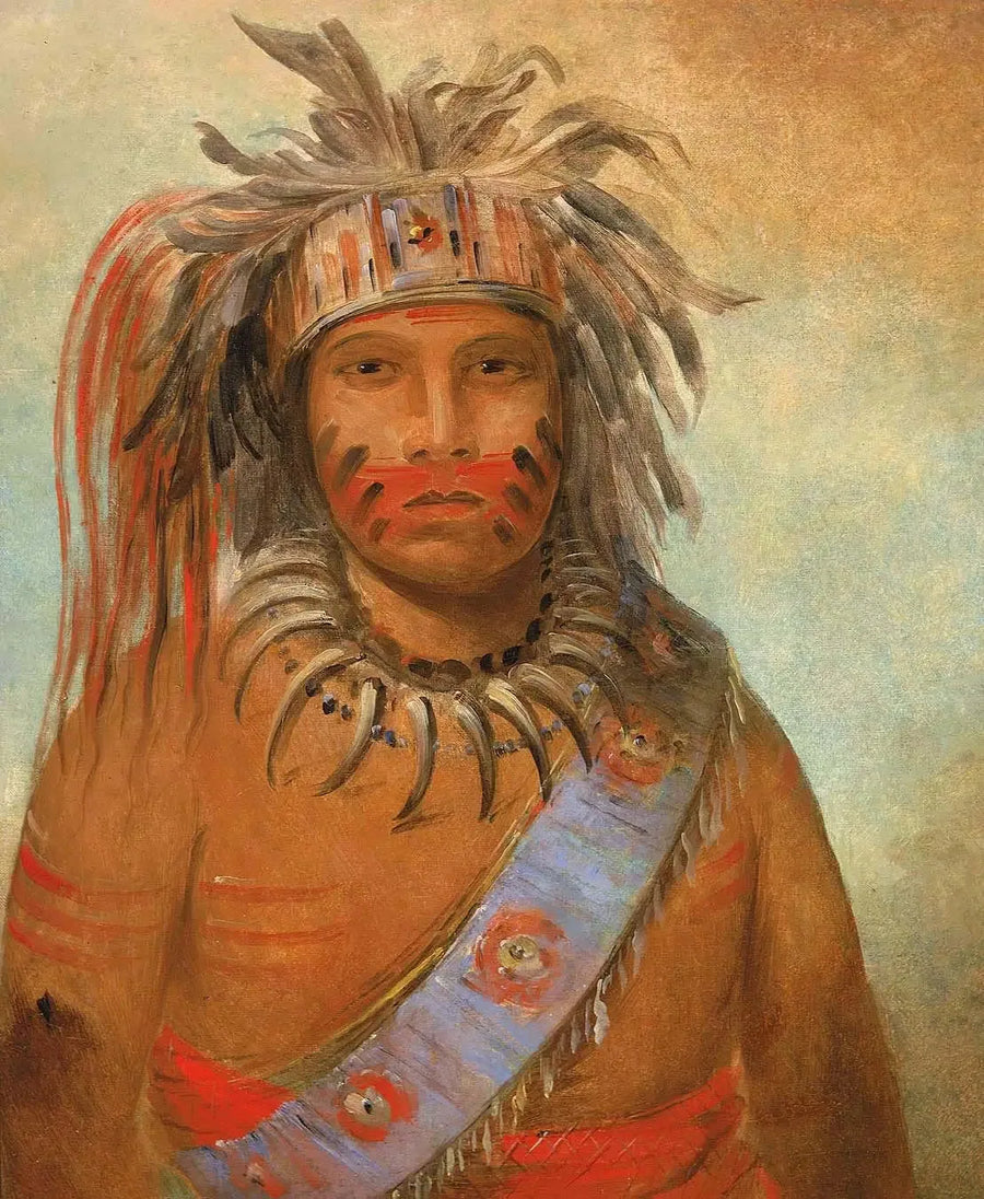 Au-nim-muck-kwa-um, stormfågeln - George Catlin