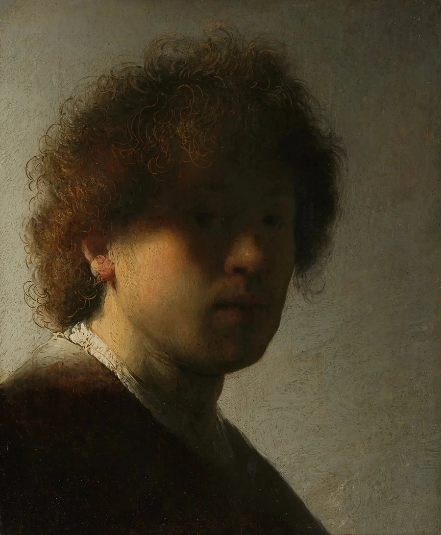 Självporträtt med rufsigt hår - Rembrandt