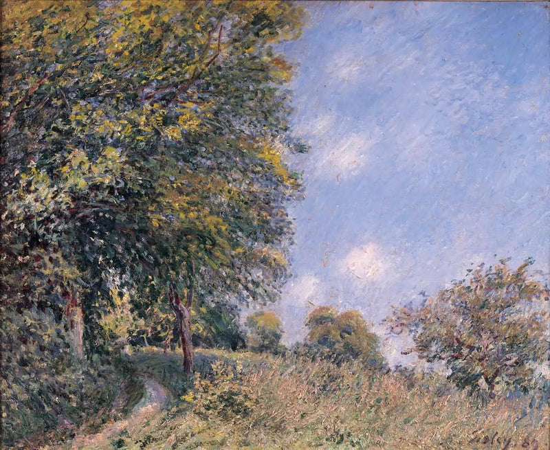 Runt skogen, juli förmiddag - Alfred Sisley
