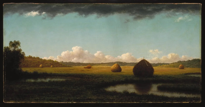 Sommarsidor - Martin Johnson Heade
