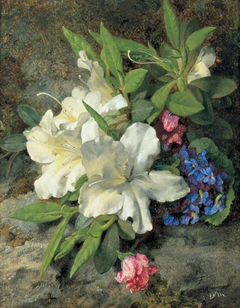 Vita azaleor - Henri Fantin-Latour